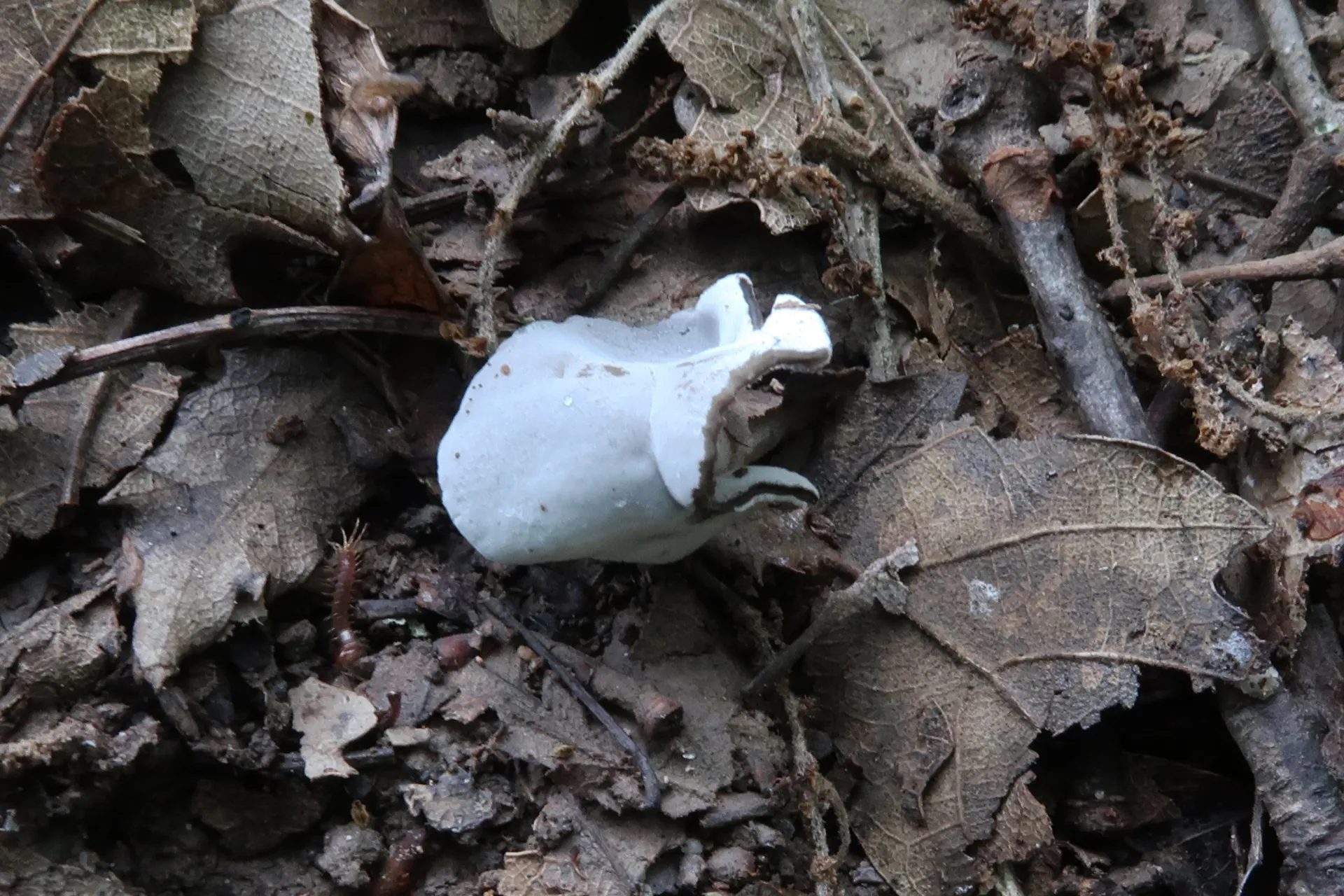 1 -